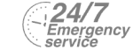 24/7 Emergency Service Pest Control in Aldgate, Monument, Tower Hill, EC3. Call Now! 020 8166 9746