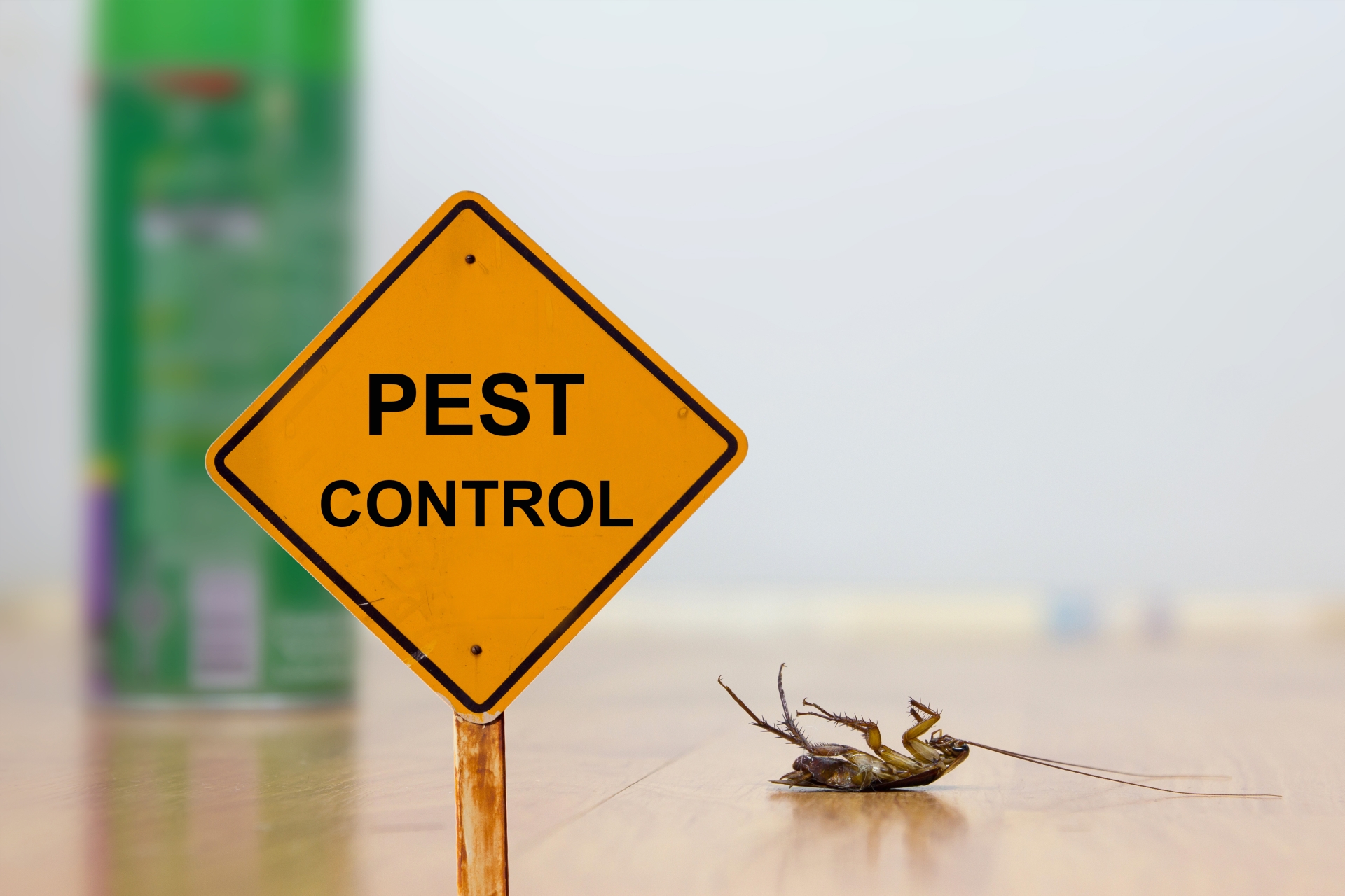 24 Hour Pest Control, Pest Control in Aldgate, Monument, Tower Hill, EC3. Call Now 020 8166 9746